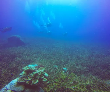 Descubren un escandallo histórico en el puerto de Ribadeo